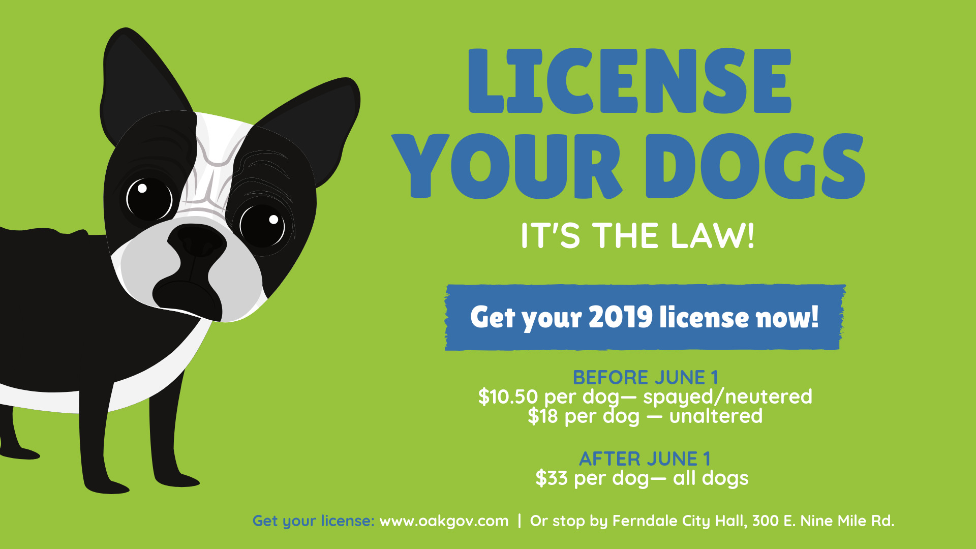 What Is A City Dog License